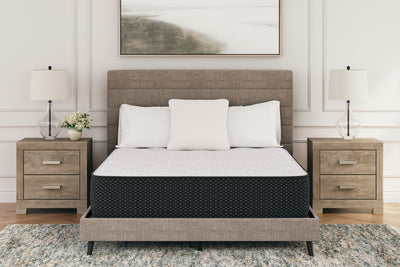 Lavish Furniture Outlet - Ashley Furniture - Limited Edition Plush Mattresses - Twin / White - M41111