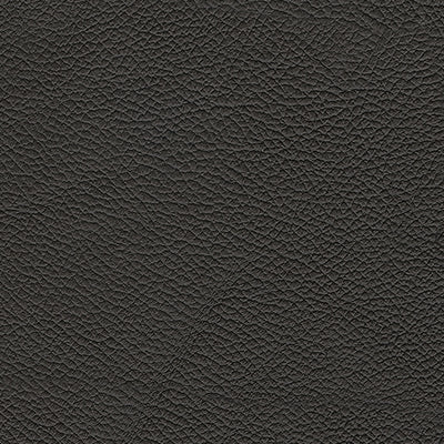 5Z-Comfort Living Room