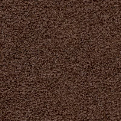 Knightington Living Room