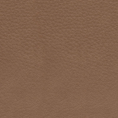 DeepWakes Living Room